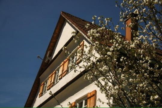Haus Oyben Apartman Bad Hindelang Kültér fotó